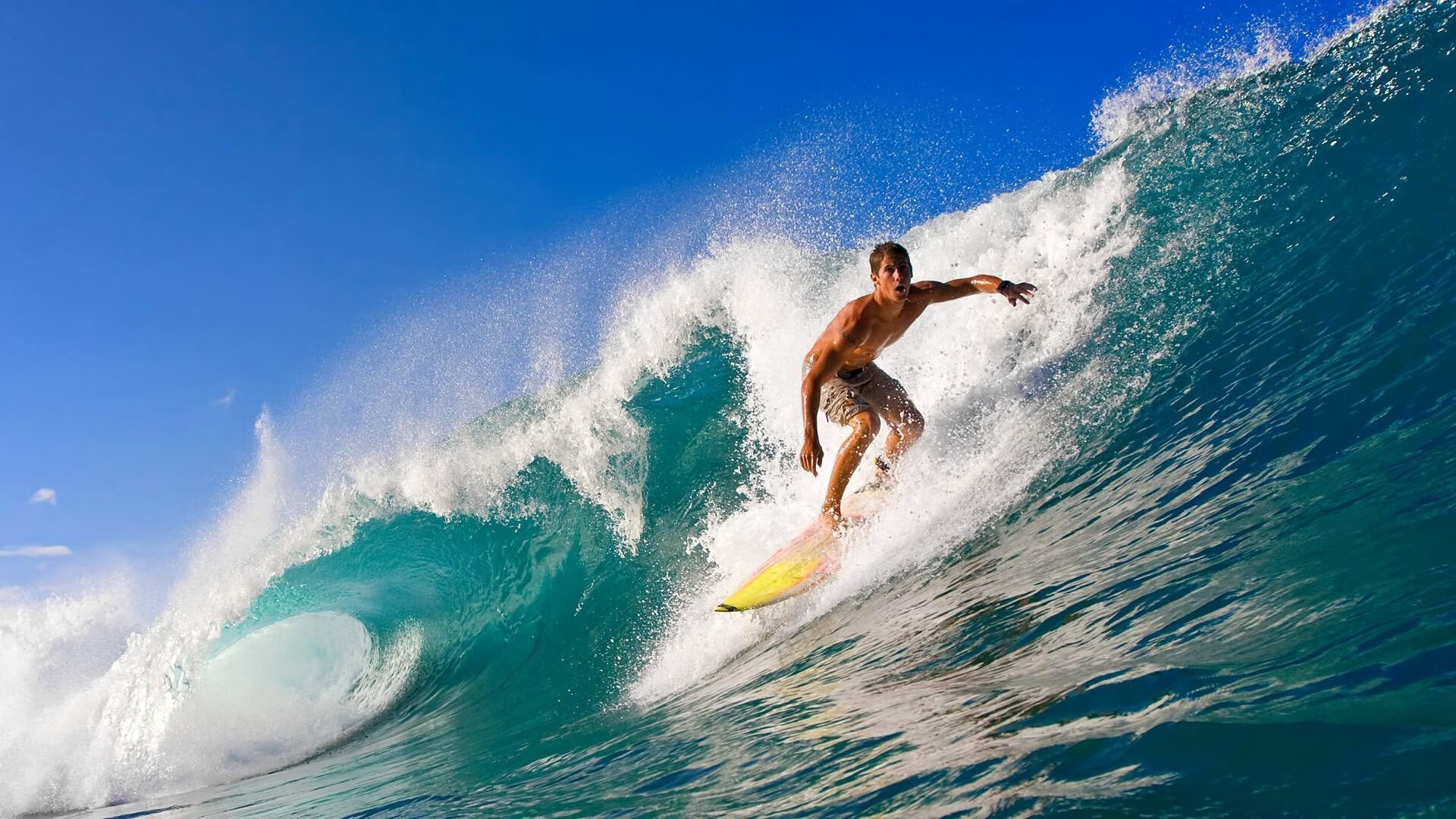 快船队精诚合作,目标总冠军,快船队资料